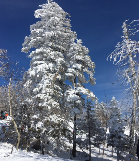 雪的世界——东北冬季旅游必看的牡丹江市大秃顶子山雪景!