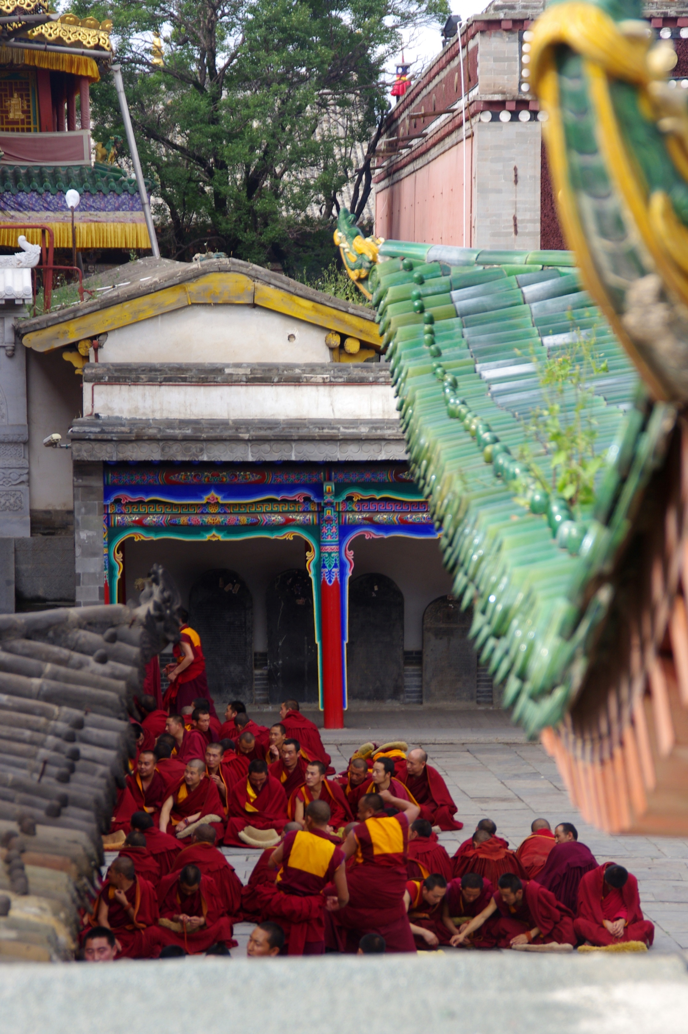 青海旅游攻略|看我们的塔尔寺别样玩法