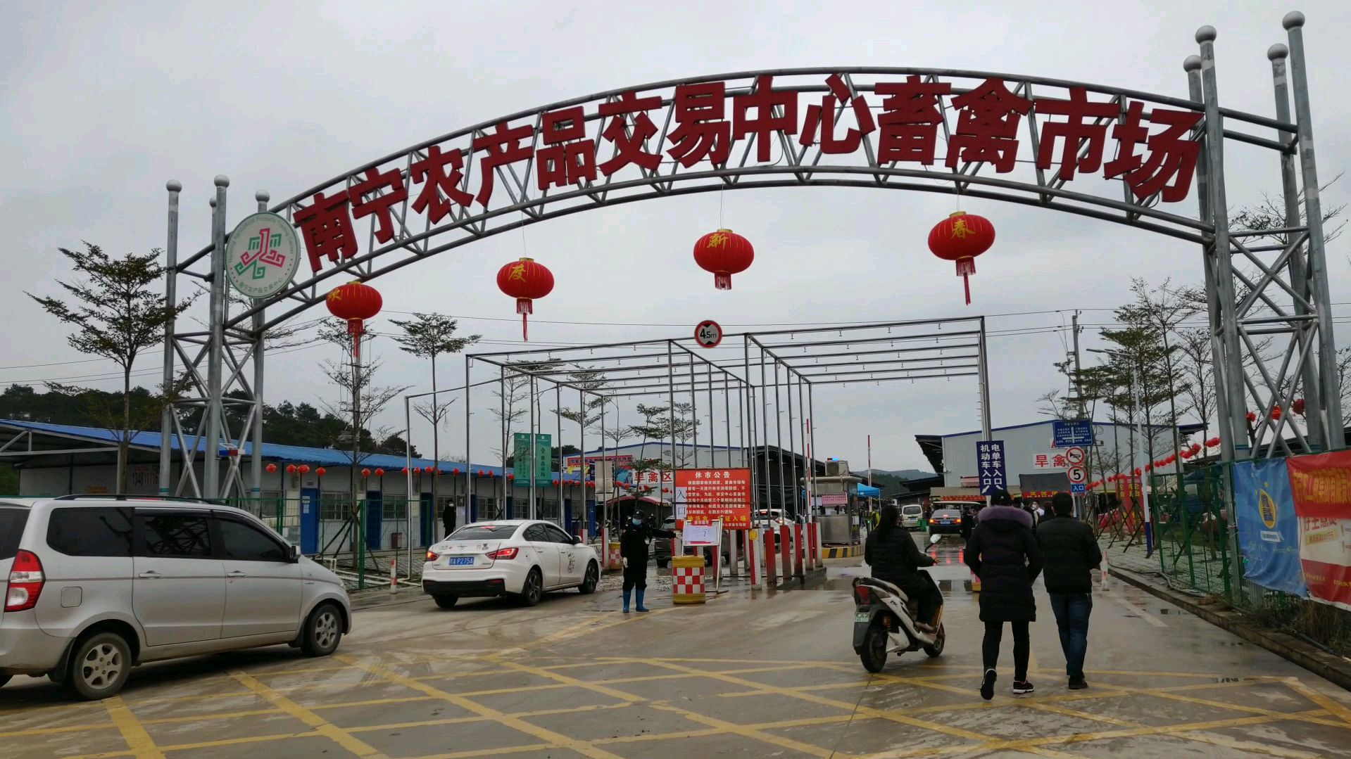 南宁鸡鸭大甩卖,很多人开私家车来买,像不要钱似的