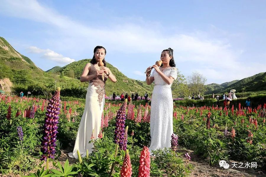 【美圖欣賞】葫蘆絲美女 魯冰花園裡盡顯天水姑娘凹凸有致的美麗!