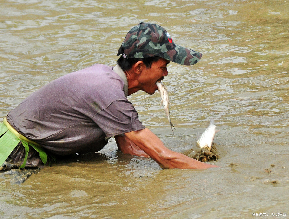 那些回不去的上树掏鸟蛋,下河摸鱼的日子