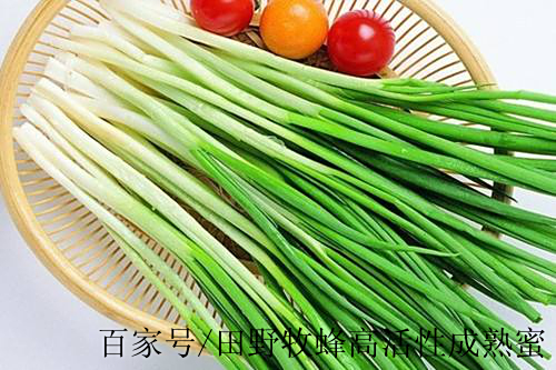 葱测试蜂蜜(大葱蘸蜂蜜有毒吗)
