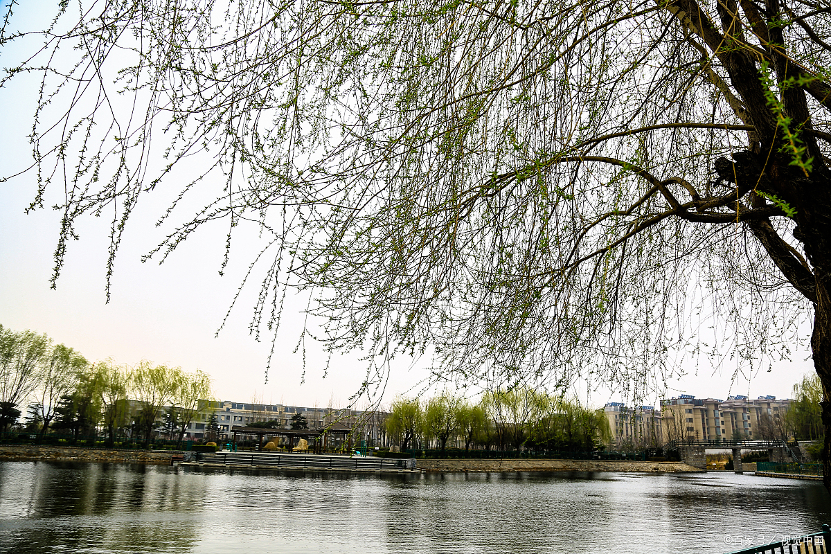 7,阴险狡猾  8,挑拨离间  9,暴人隐私  10,投机取巧  11,唯利是图