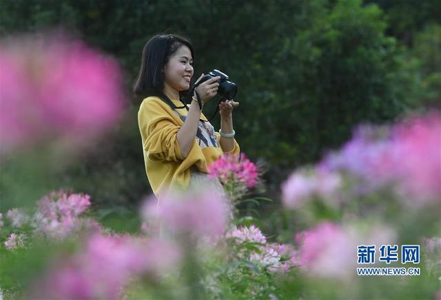 "孔元花之谷"的浪漫花海