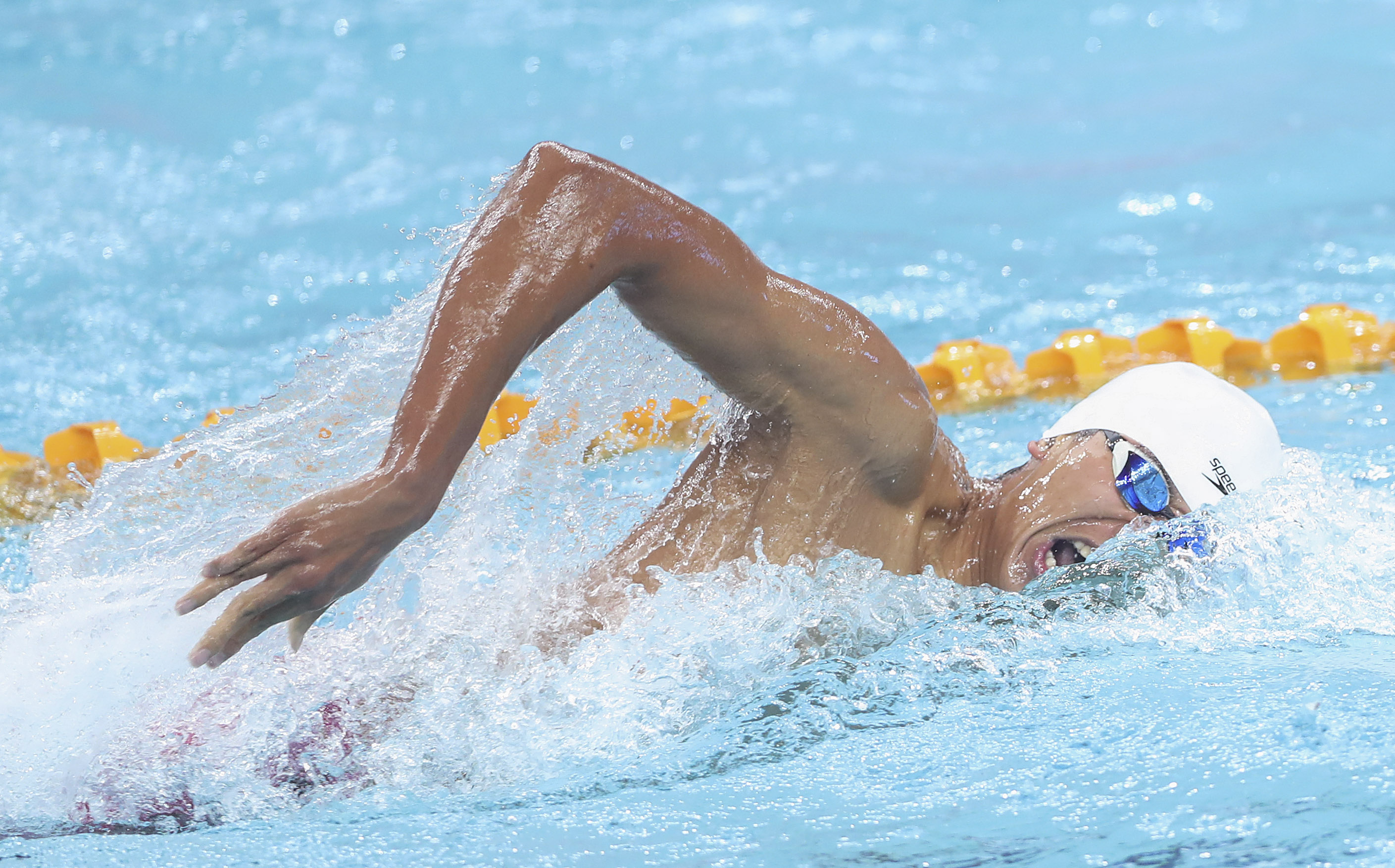 游泳——短池世界杯北京站:季新杰获男子400米自由泳冠军
