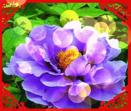 421_355gif 动态图 动图