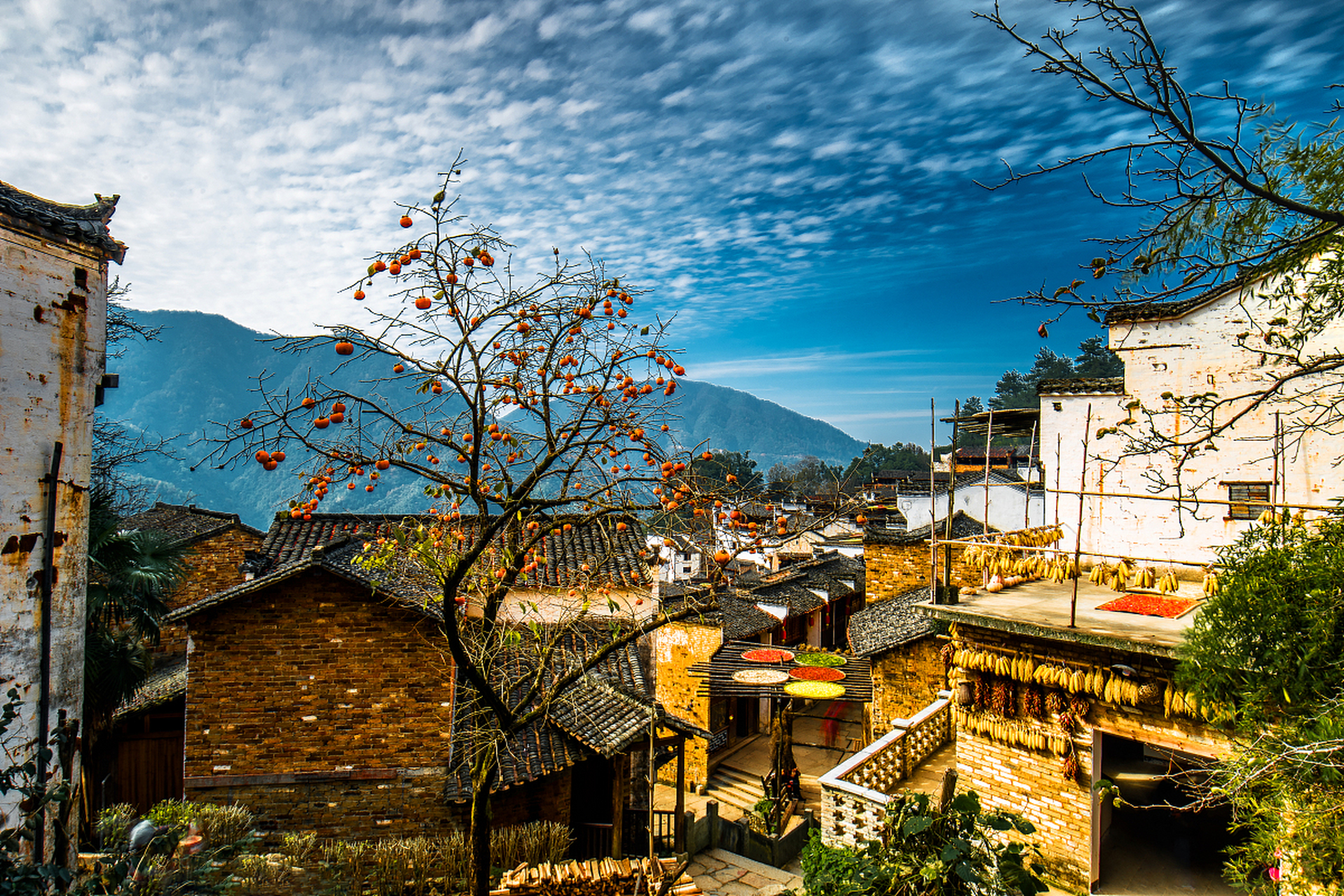 木梨硔村是黄山市百佳摄影点之一,该村生态绝佳,地形独特,地处山脊