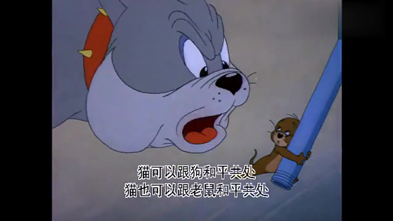 动漫壁纸:在狗哥强大的威慑力下,汤姆杰瑞和狗哥成为了好朋友