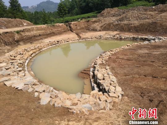 明朝阁老徐阶之墓勘测结束 墓址旁水塘为"泮池"