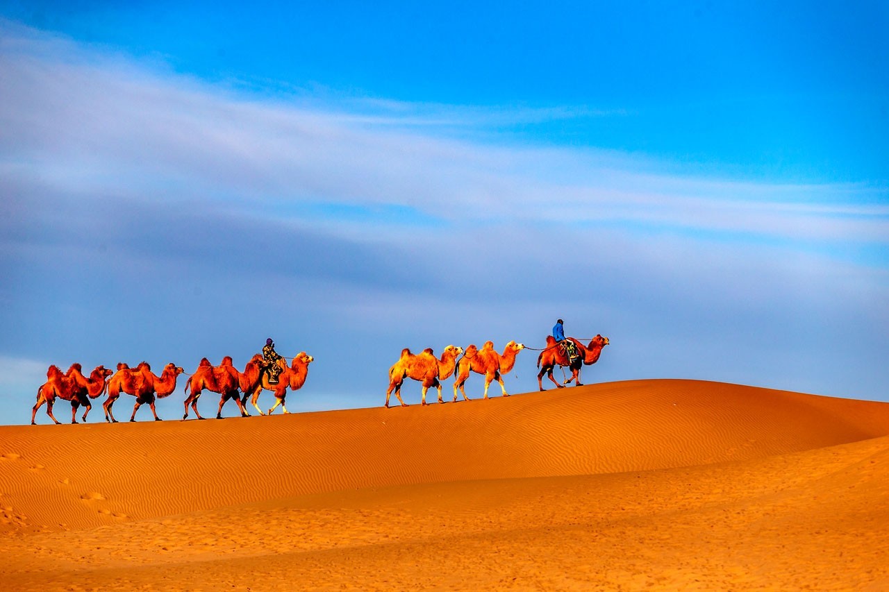 风光摄影:巴丹吉林沙漠的驼影