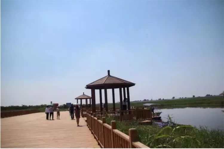 朝邑,朝邑,数你美丽!