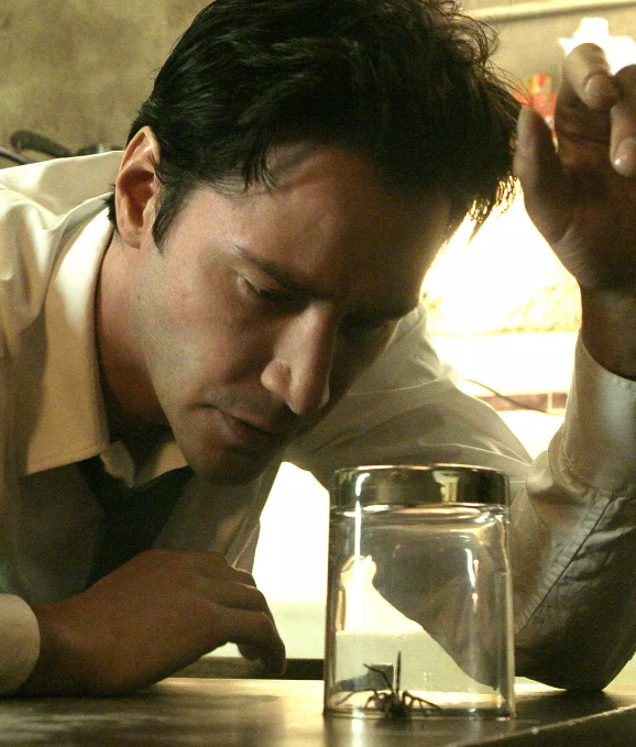 早就放出消息的渣康回归最近终于定板.