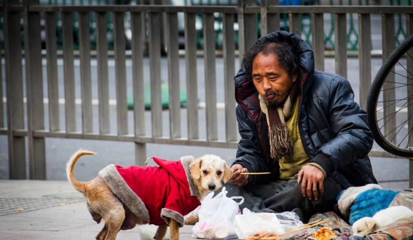 不管贫穷富有都不离不弃,细数狗狗和流浪汉的动人感情