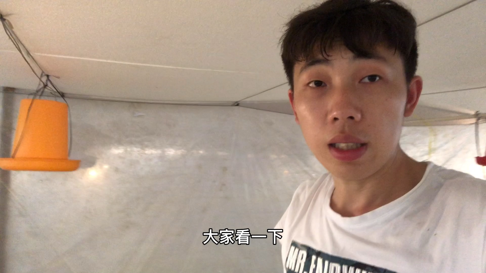 单价6.2元一只的鸡苗长啥样!小龙买了12000只大伙来瞧一瞧