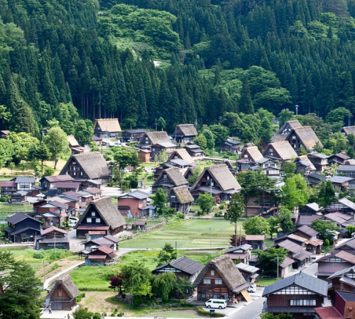 圖為悠閒的下午,一個生活在日本鄉村的老人在修建院子的花草樹木.