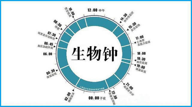 志愿者地下洞穴独自居住130天,为证时间是错觉,结果怎么样了?