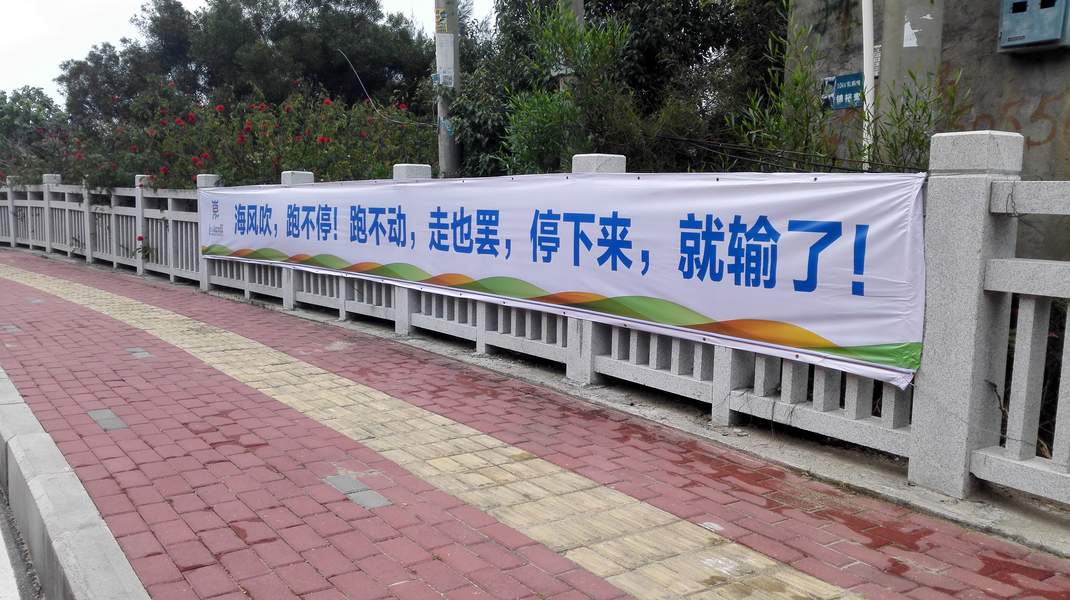 最让人放松的是逗乐诙谐式的标语口号: 如——奇葩说里遇马东,东马道