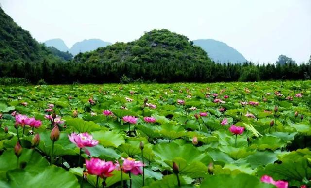 揭秘彩雲之南那片被上帝偏愛的寶藏之地