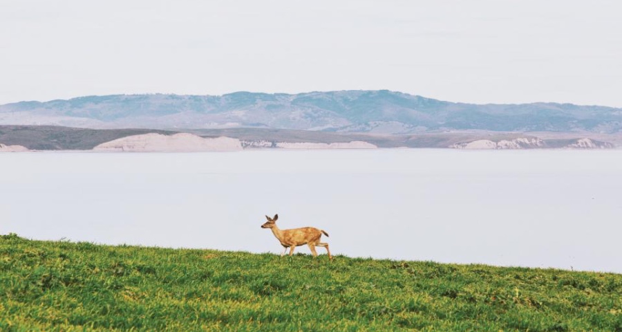 格力格兰仕小米京东苏宁全面开火，家电低价格战烧热3月消费市场-家电圈官网