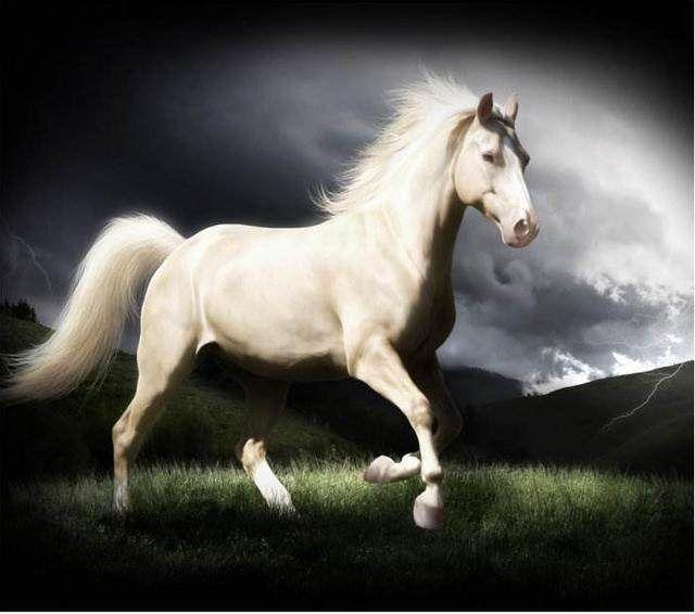 梁山好汉5次转折大事,都与动物有关,晁盖宋江武松李逵燕青亲历