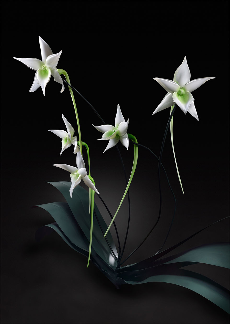 越是美丽的东西,越容易破碎,艺术家打造玻璃花