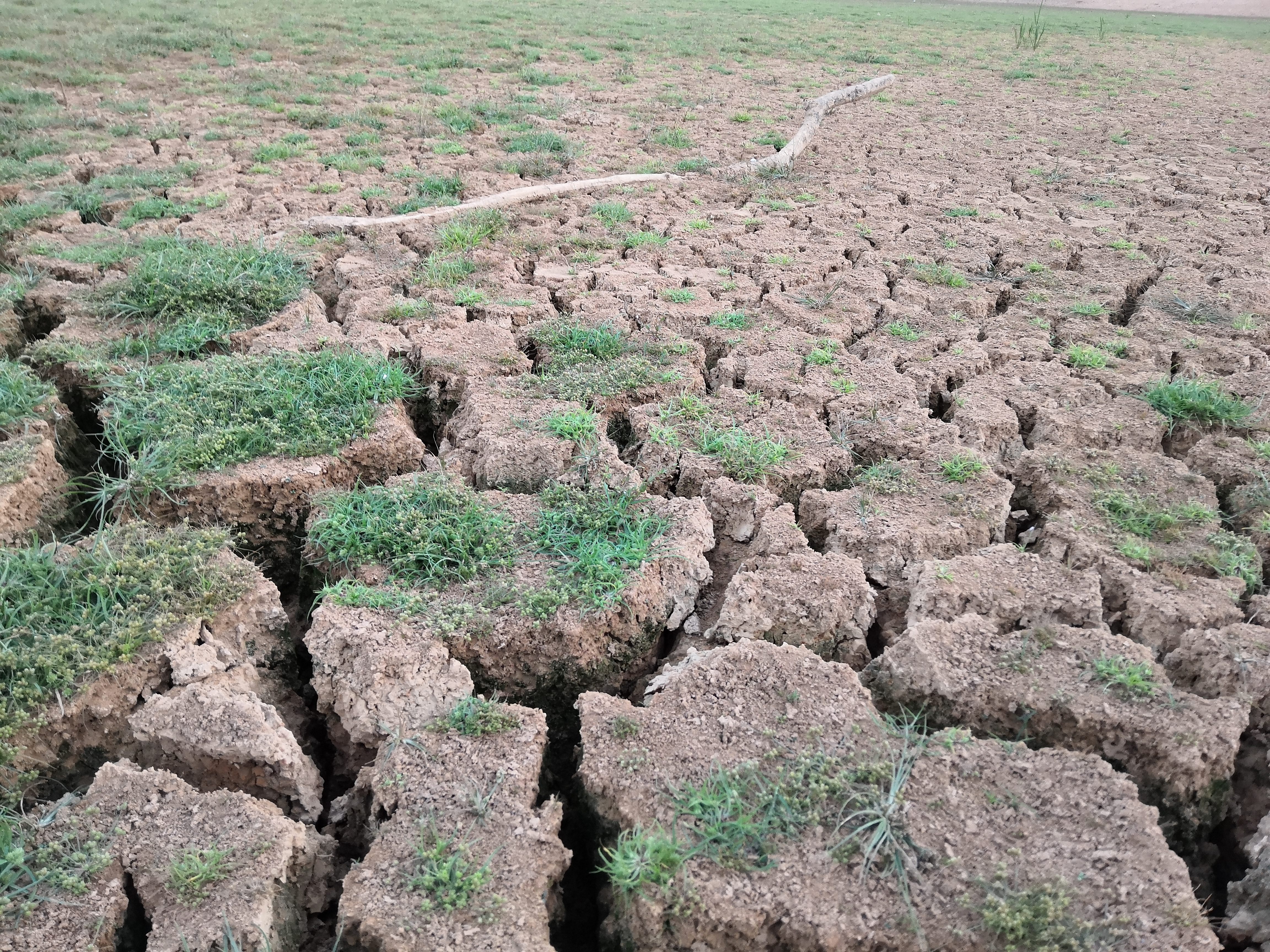 南方部分地区为何持续大旱?(2)