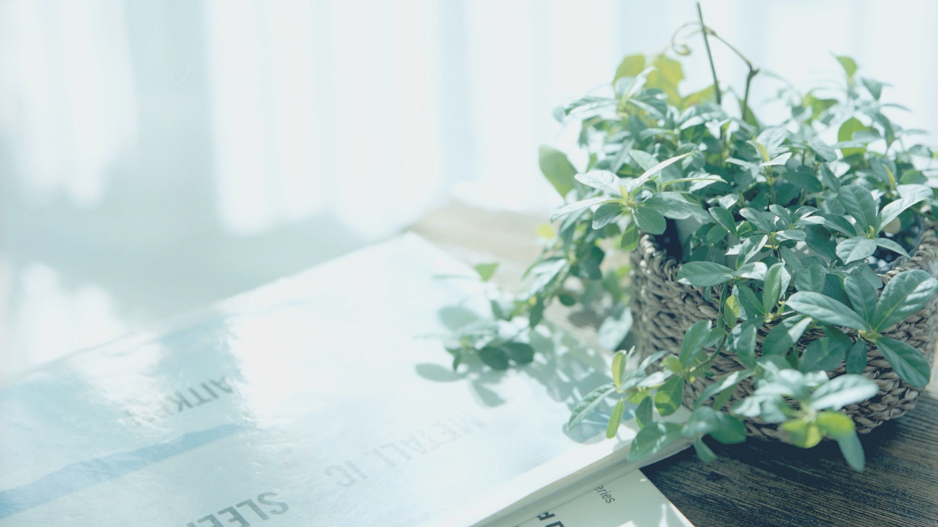 让孩子学会自己长大,看清脚下的路,耻笑他人,很可能会伤了自己