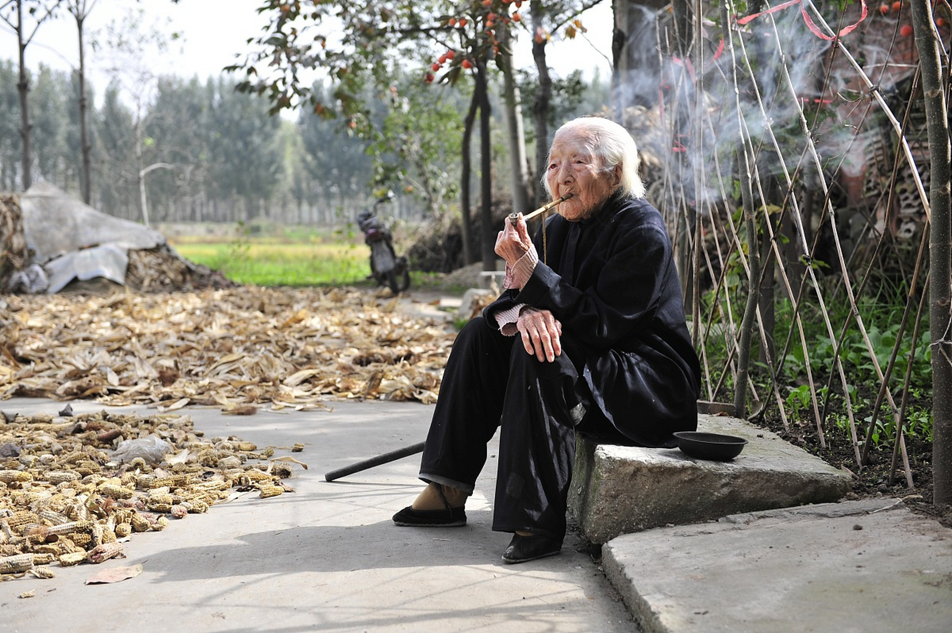 有一天,小李和小王在街上散步,突然看到一位老太太跌倒在地,他们立刻