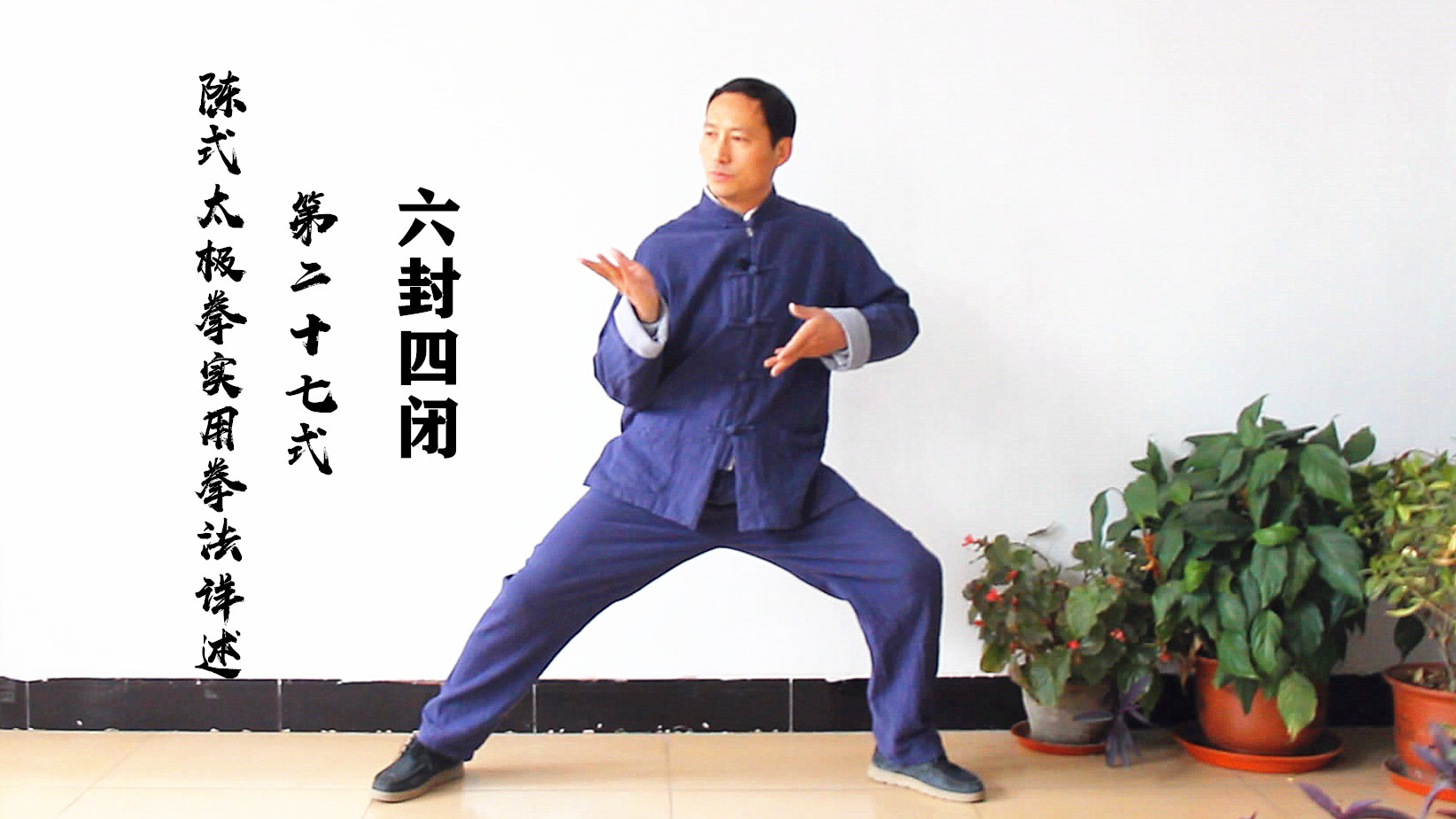 陈式太极拳实用拳法第27式——六封四闭讲解