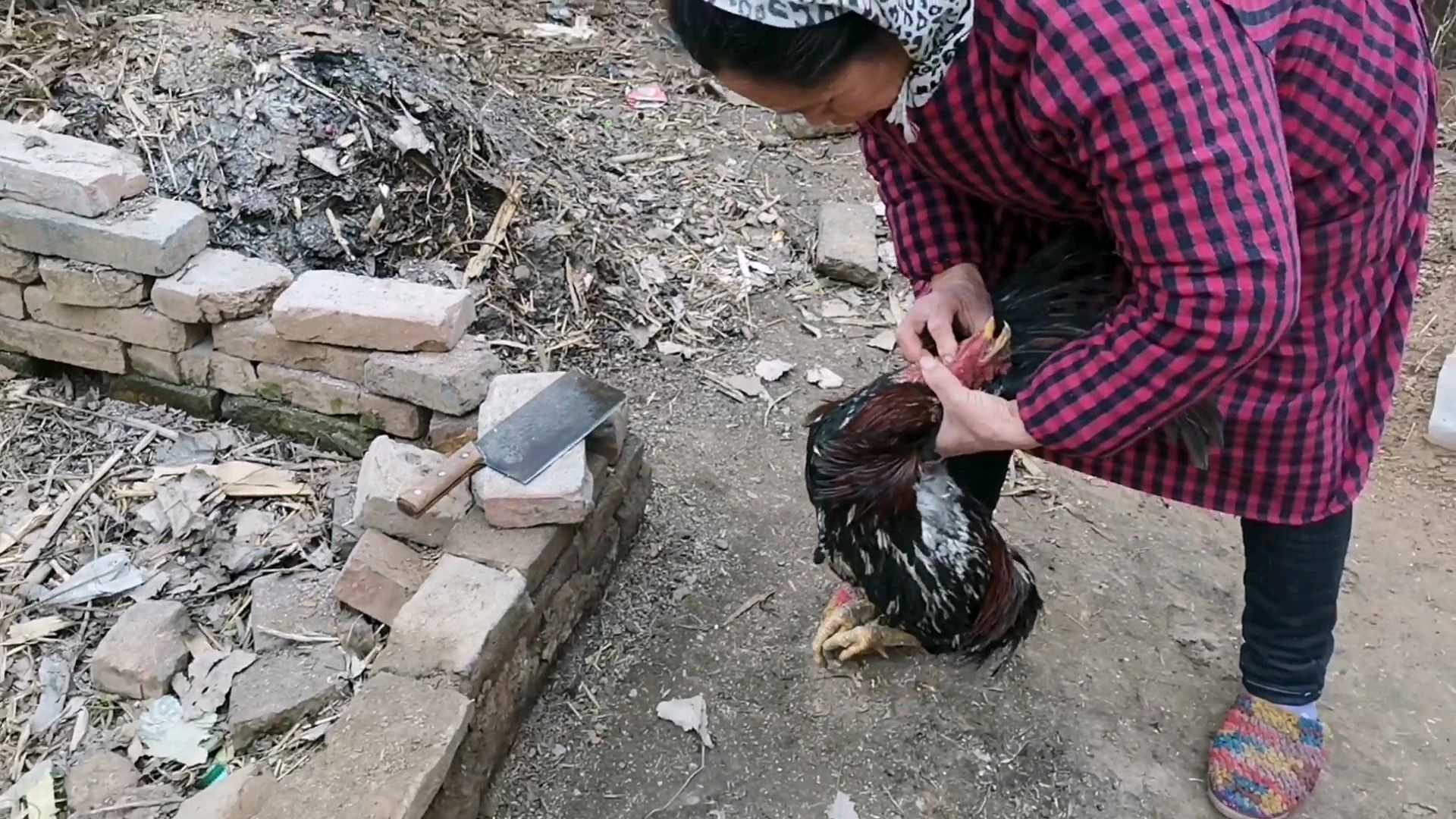 实拍农村土法杀鸡,居然还要念几句顺口溜?好多年轻人都没听过