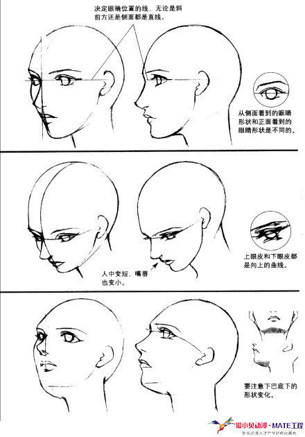 狐小貝動漫人物繪畫技巧講解:動漫人物頭部五官特徵