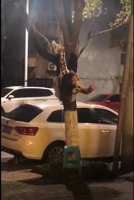 溧阳一女子为了直播真是拼,倒挂树上放声歌唱!