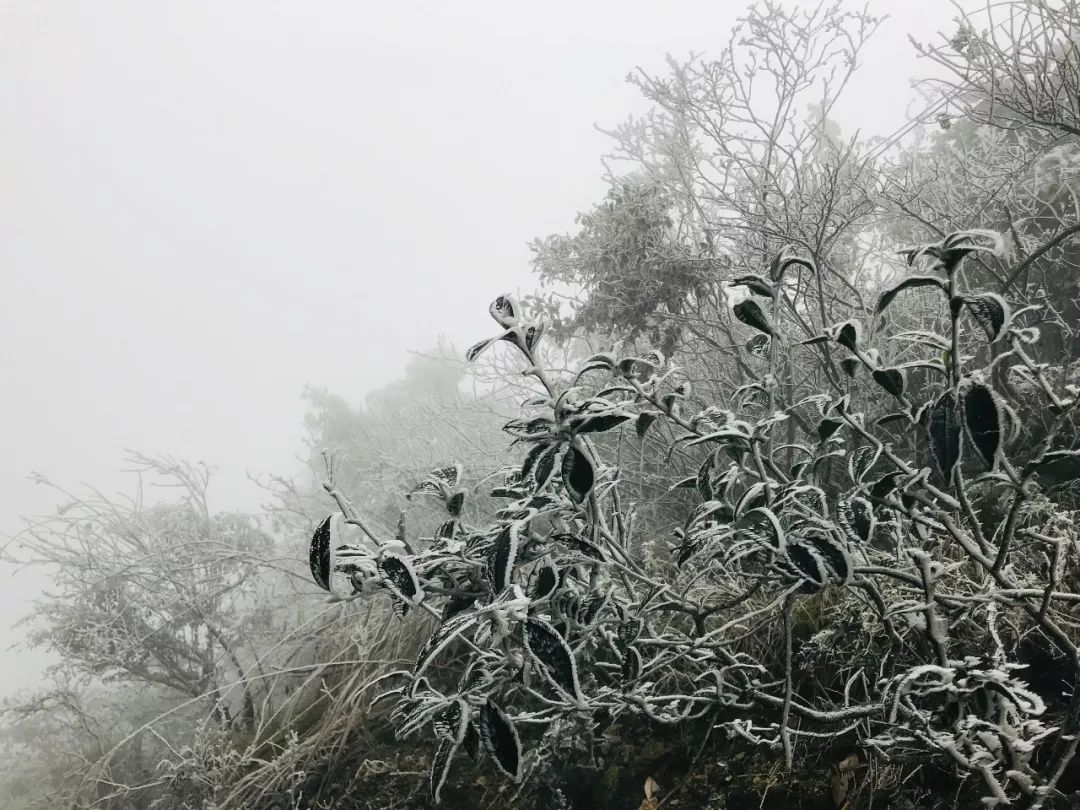 菩提大院带你冬季登上九峰之云祖峰观雪景