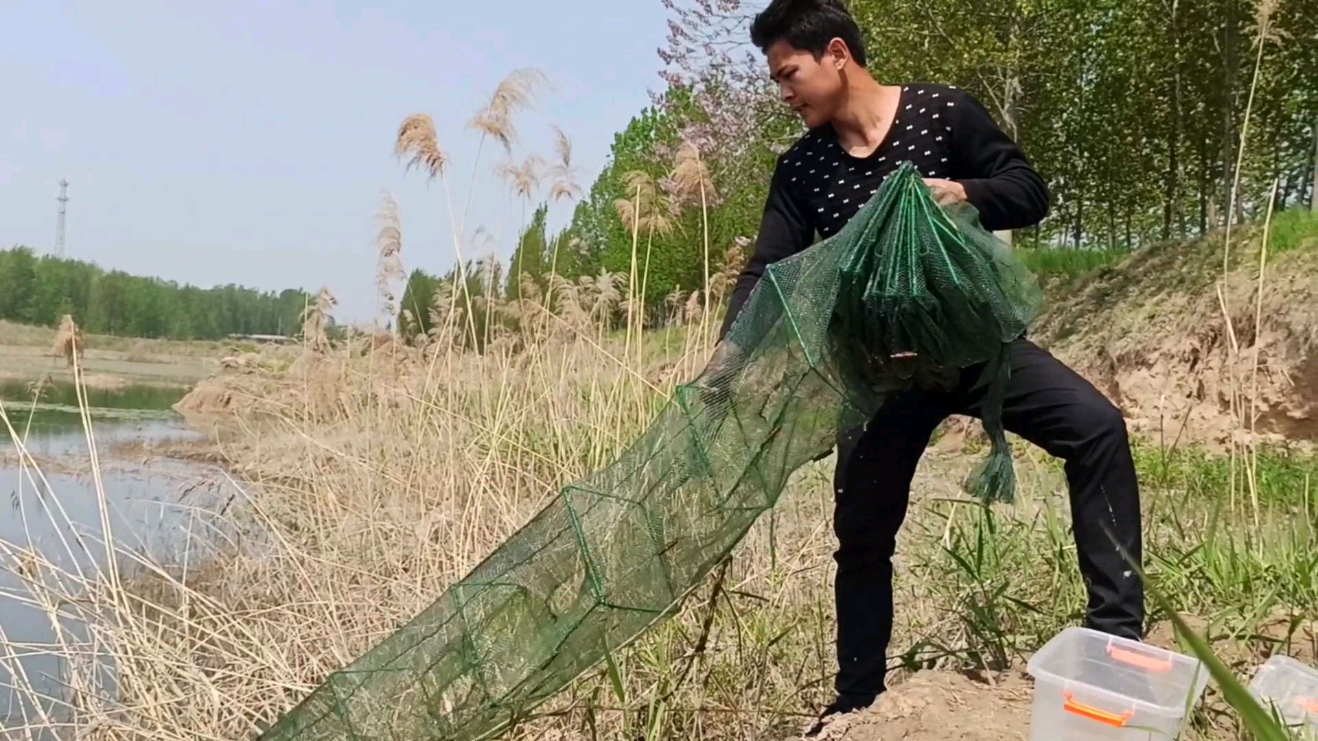河里水位下降了三分之二,一条地笼下去鱼虾果然比以往多了不少