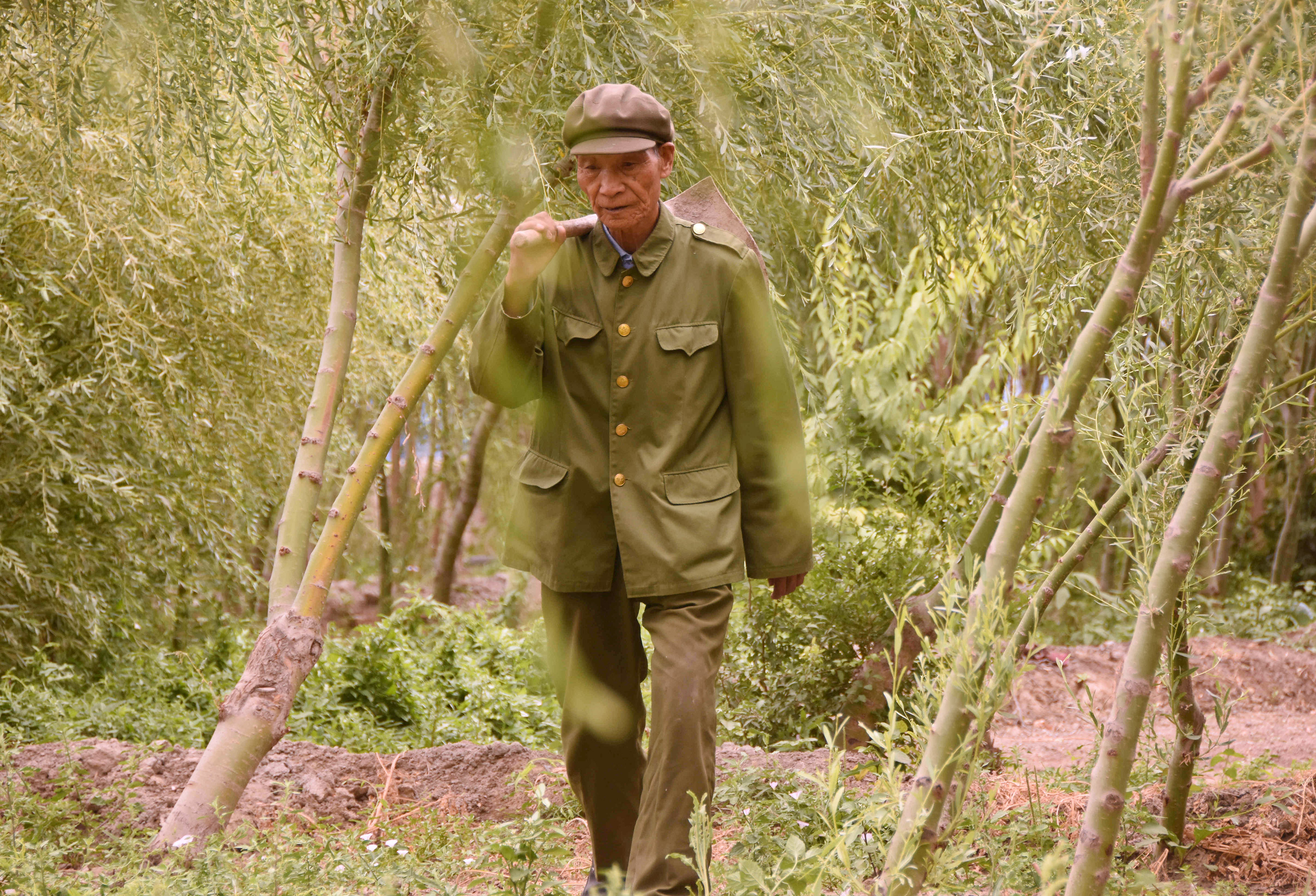 退休军官王成帮的绿色梦想(1)