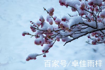 宋詞鑑賞與理解:漢宮春.梅—晁衝之