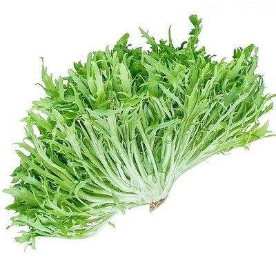 苦苣和苦菊有什么关系吗?苦苣怎么种植呢?怎样才能高产呢