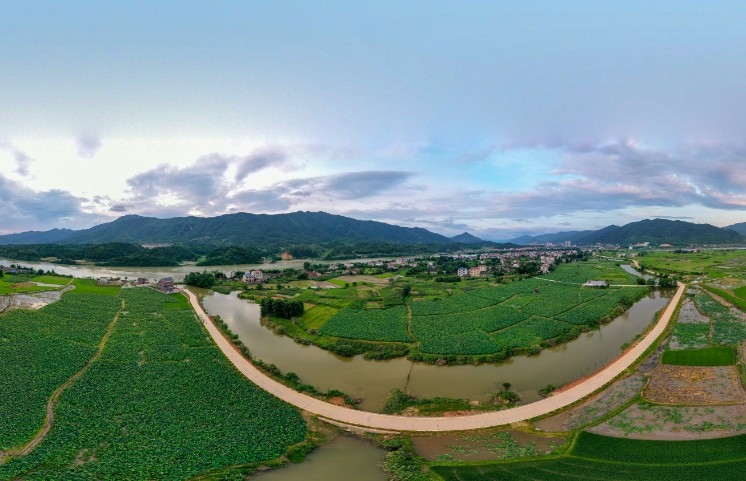 双牌县良村荷花基地