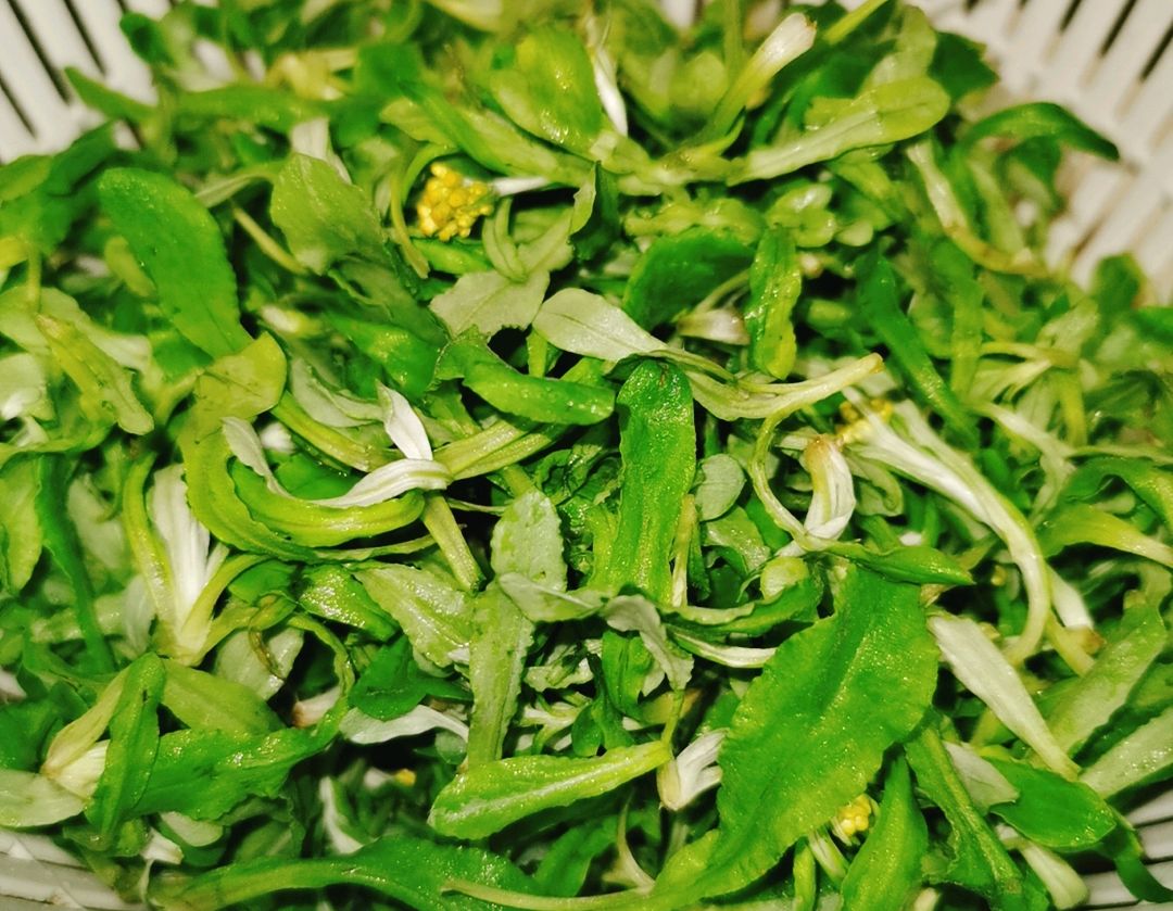 还在用水牛花做粑粑吗?快来试试这种新吃法,鲜香不腻全家都爱吃