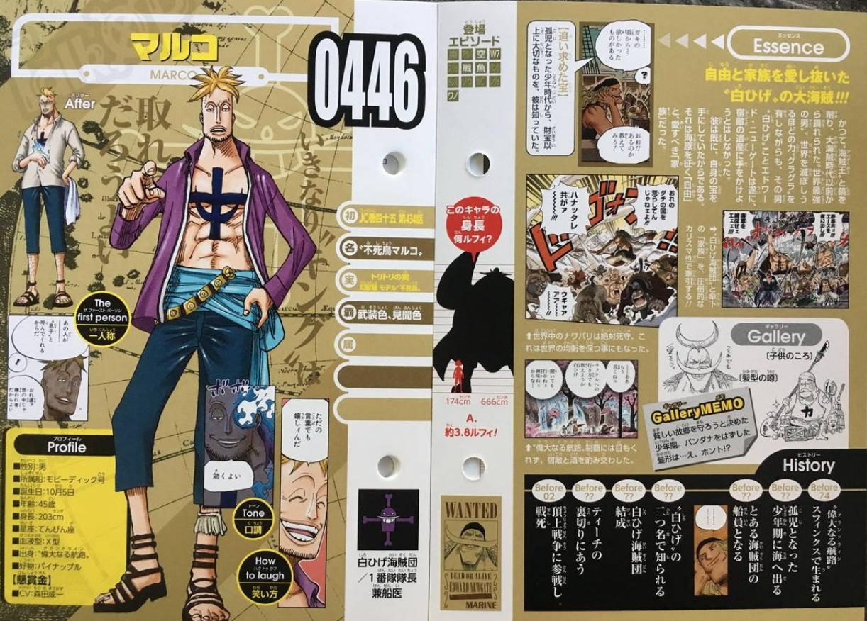 海贼王:马尔科生命卡修改,尾田再次确认,皇副=大将,四皇>元帅