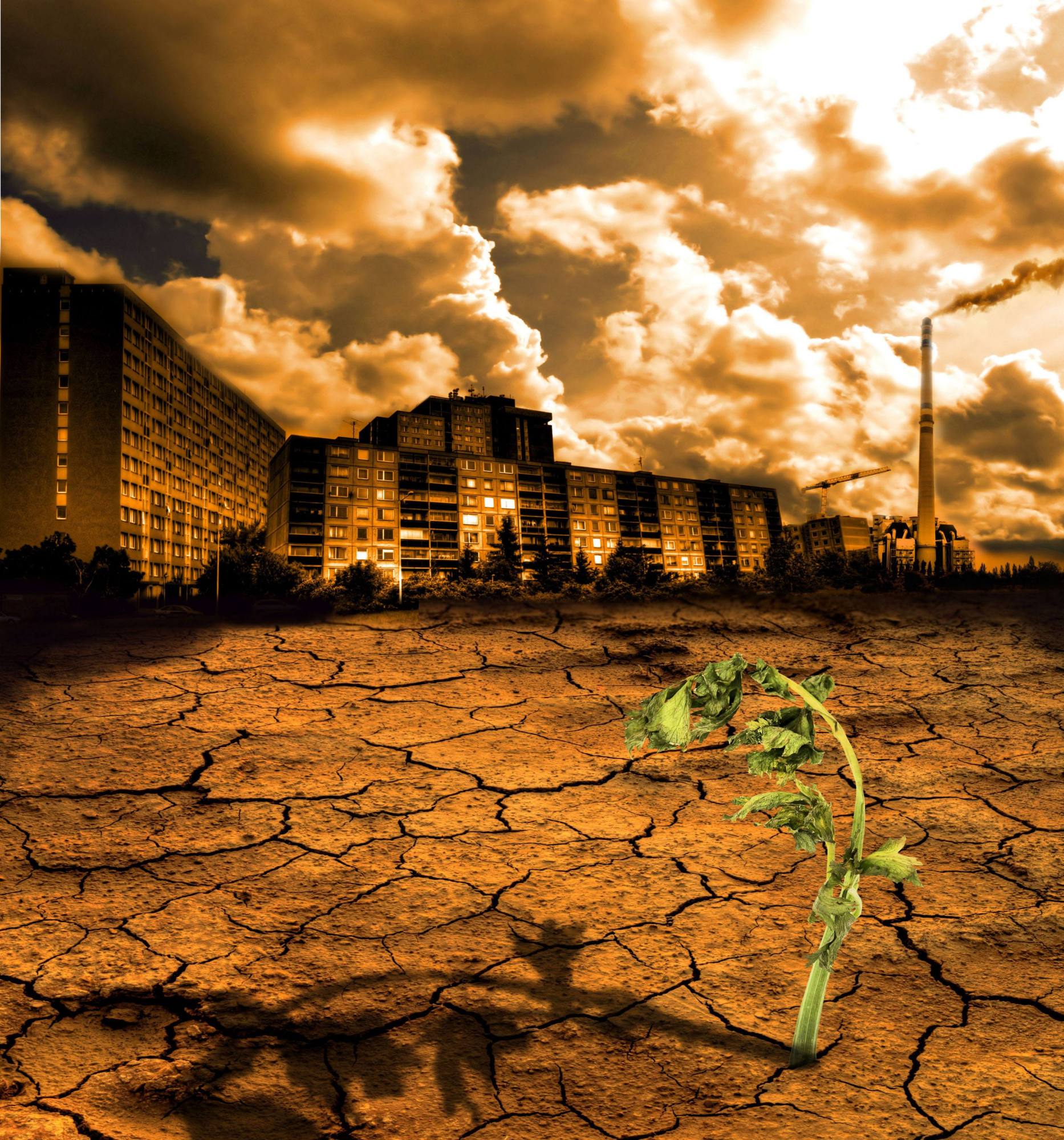 100万年后的地球会怎样?科学家提出这几种假设,结局超出想象