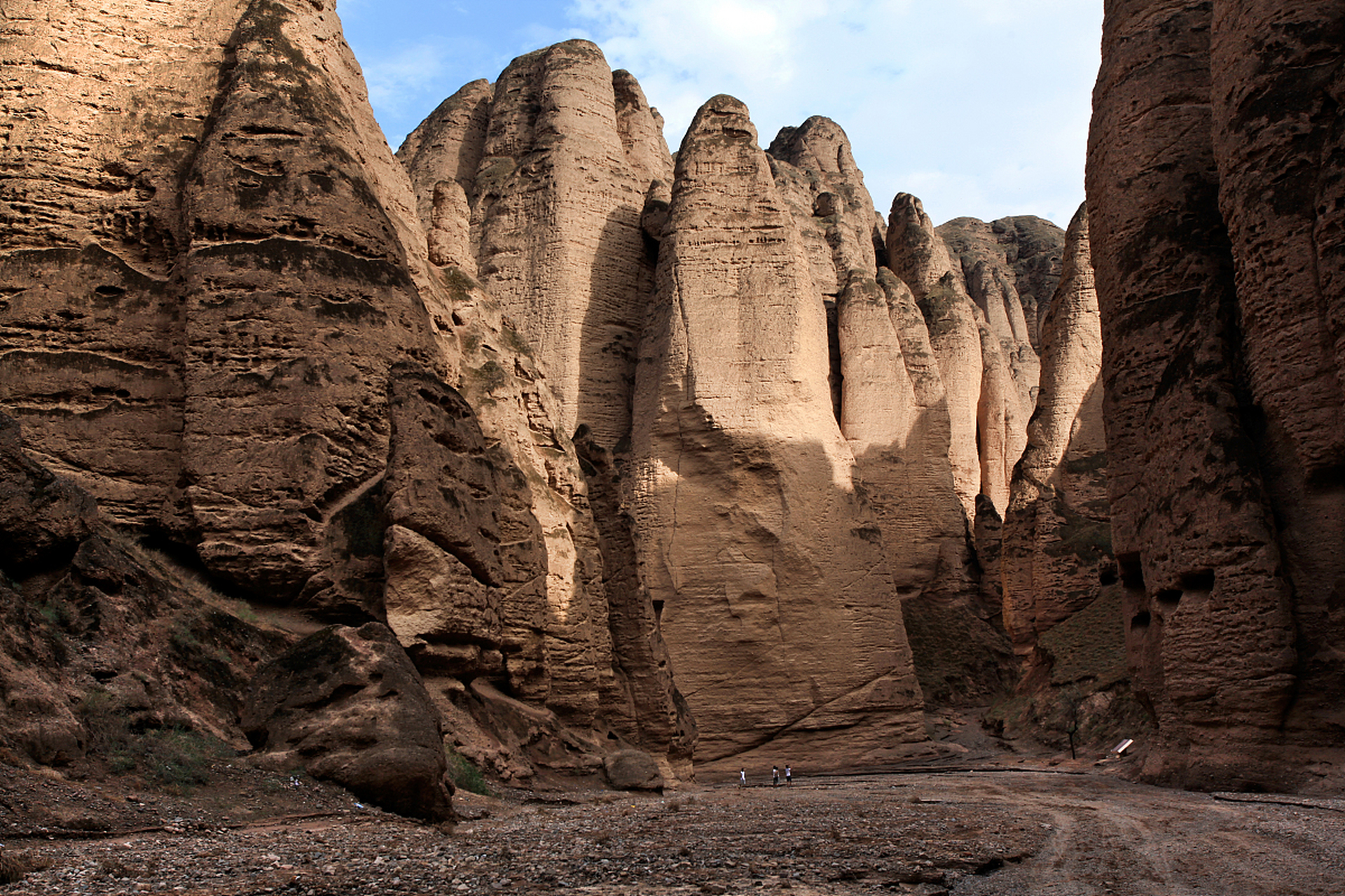 黄河石林,位于甘肃省白银市景泰县,黄河石林是一座集地貌特征,地质