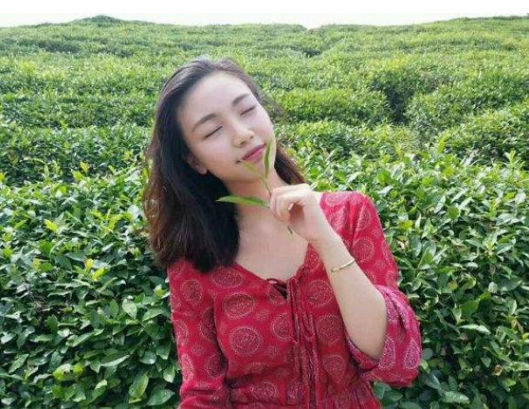微信上那些茶叶妹都是怎么行骗的?看完要注意下次不要被骗了