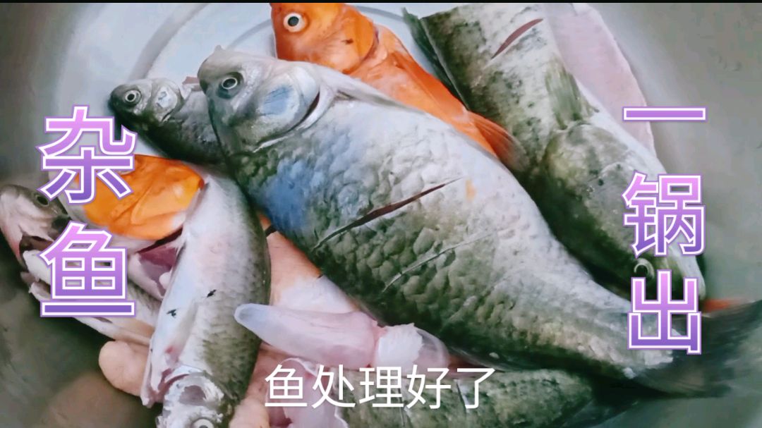 今天邻居在海河捞了一盆鱼,做“杂鱼一锅出”在泡上大饼太香了!