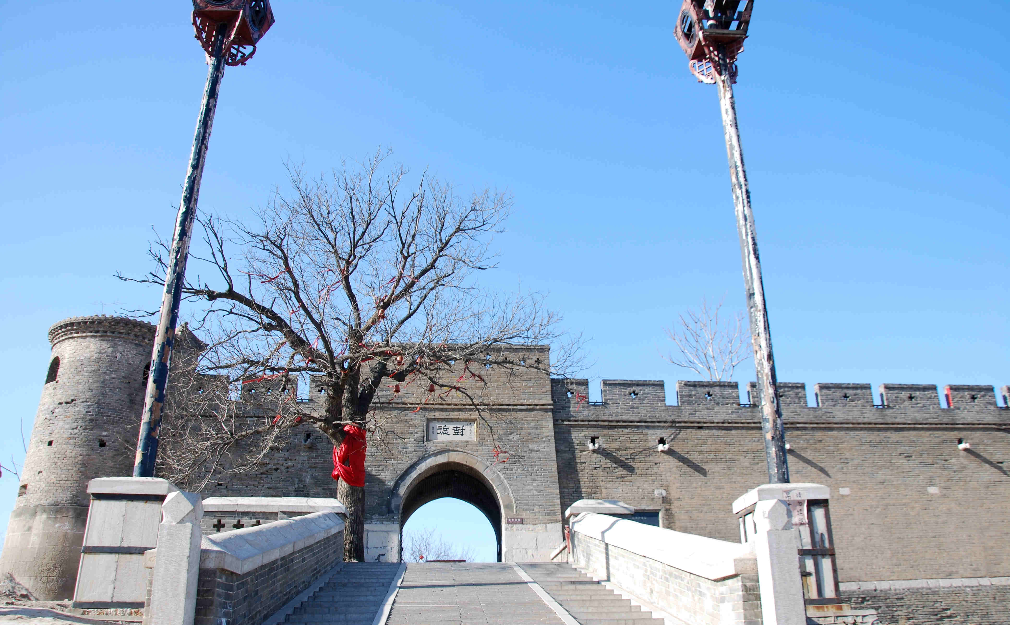 山东滨州:这里是"百果之王"产地,"文"有帝师,"武"有孙子