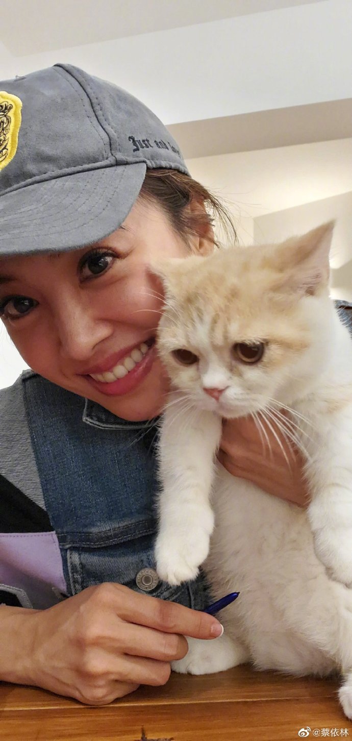 蔡依林搂猫咪自拍眼神温柔 不惧素颜对镜灿笑甜美可人