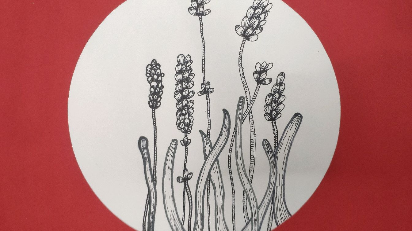 简单易学的黑白花卉主题线描画教程