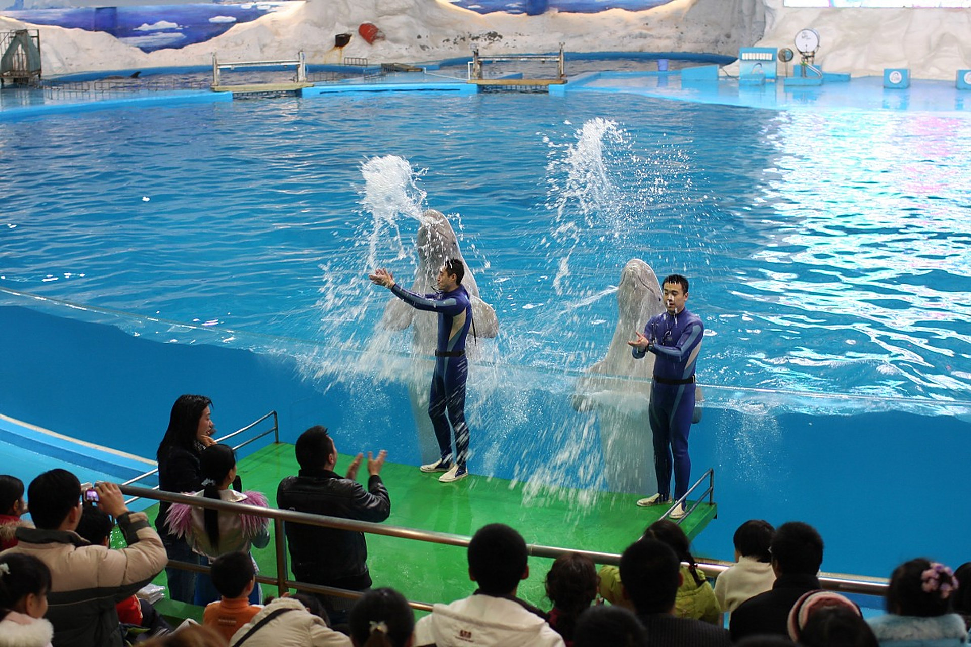 以下是一份青岛极地海洋世界旅游攻略,希望对您有所帮助:  1.