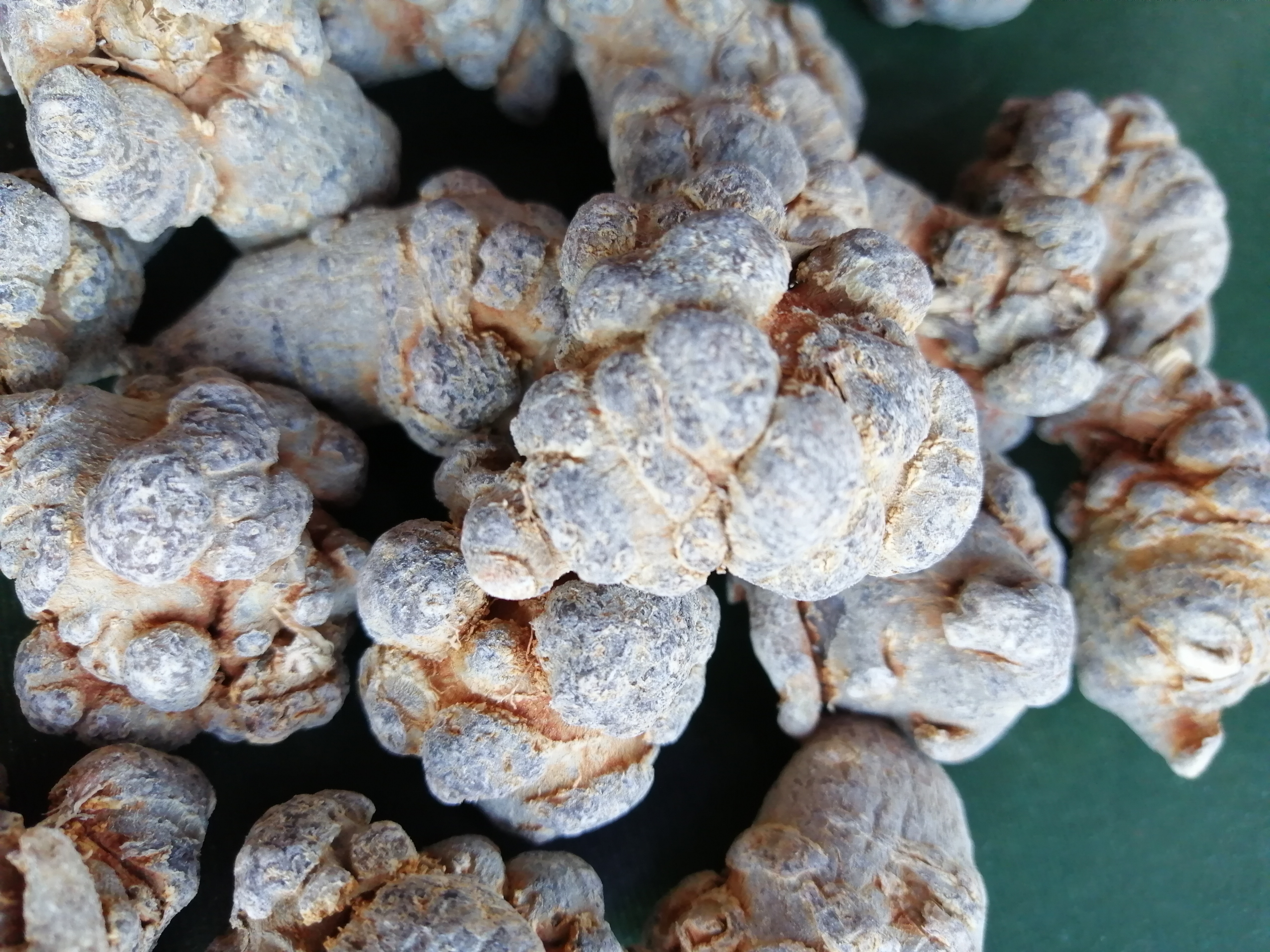 三七生熟功效有别,千万别吃错