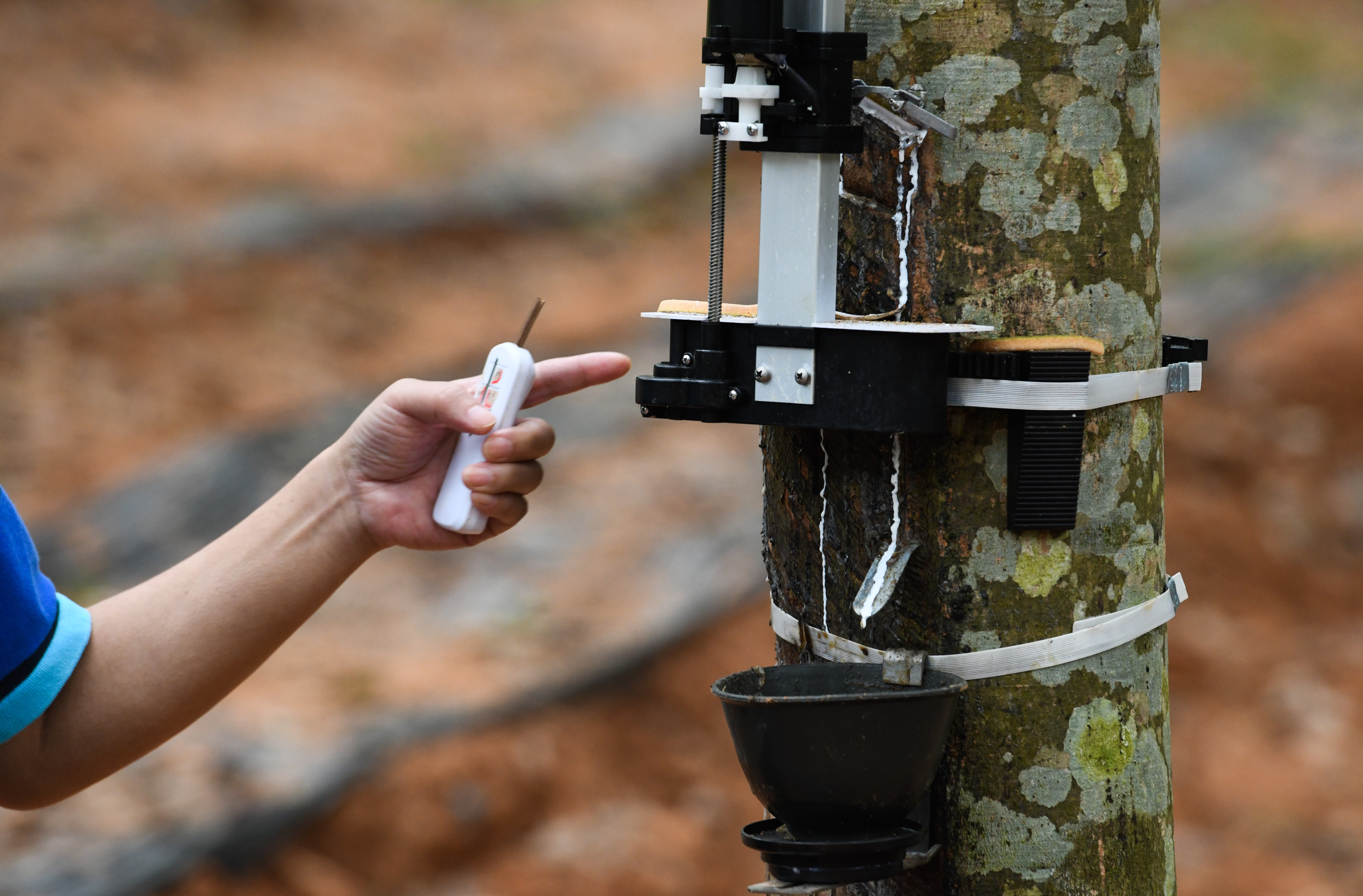 割胶"黑科技"助力天然橡胶生产自动化(6)